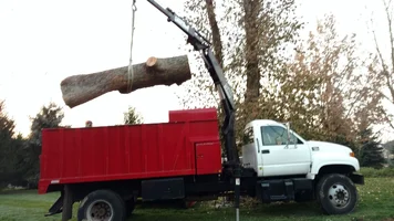 IMG_20151211_162357763.webp IMG_20151211_162357763.webp