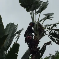 IMG_1115.webp IMG_1115.webp