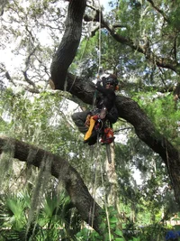 IMG_3514.webp IMG_3514.webp