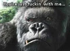 just-fucking-with-me-gorilla.webp