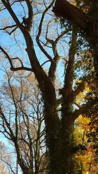 rps20160102_070955.webp rps20160102_070955.webp