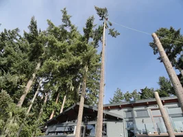 DSC04363.webp DSC04363.webp