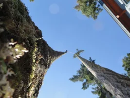 DSC04338.webp DSC04338.webp