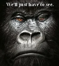 just-have-to-see-gorilla.webp