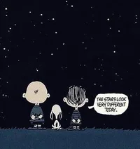 The Stars Look Very Different Today..webp