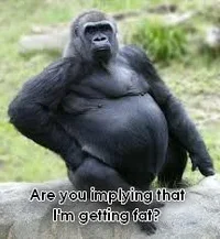 you-saying-i'm-fat-gorilla.webp