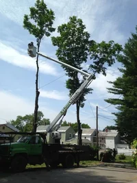 bucket removal .webp