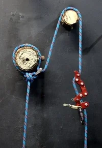 DSC_0350 (Small).webp