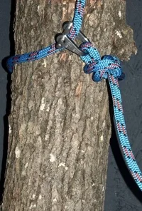 DSC_0355 (Small).webp