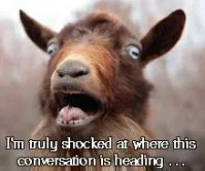 goat-wtf.webp goat-wtf.webp