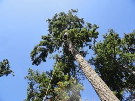 DSC04010 - Copy.webp