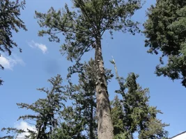 DSC02323 - Copy.webp