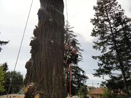 DSC02462 - Copy.webp