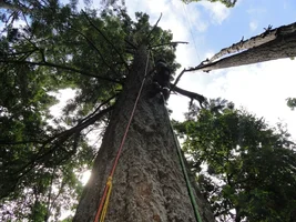 DSC02676 - Copy.webp