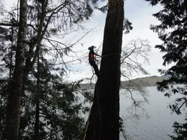 DSC04280 - Copy.webp