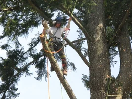 IMG_0325 - Copy.webp