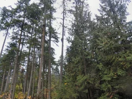 DSC01510 - Copy.webp