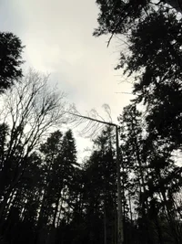 DSC02161 - Copy - Copy (2).webp