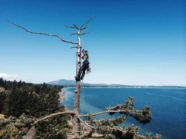 photo (3) - Copy.webp