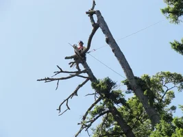 DSC02653 - Copy.webp