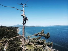 photo (4) - Copy.webp