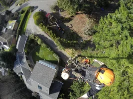 G0101061.webp G0101061.webp