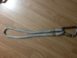 image.webp image.webp