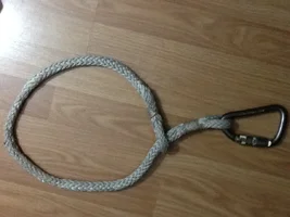 image.webp image.webp