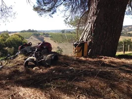 IMG_1793.webp IMG_1793.webp