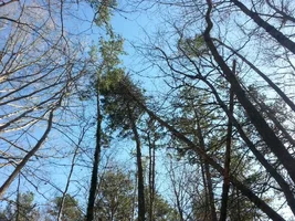 uploadfromtaptalk1456703524494.webp uploadfromtaptalk1456703524494.webp