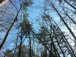 uploadfromtaptalk1456703543343.webp uploadfromtaptalk1456703543343.webp