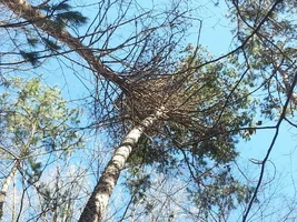 uploadfromtaptalk1456703547718.webp uploadfromtaptalk1456703547718.webp