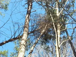 uploadfromtaptalk1456703552646.webp uploadfromtaptalk1456703552646.webp