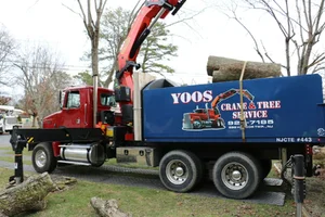 IMG_0031.webp IMG_0031.webp