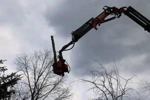 IMG_0035.webp IMG_0035.webp