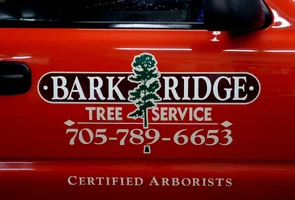 image.webp image.webp