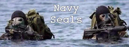 navy-seals.webp