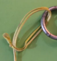 C&S In tree tl choked line.webp