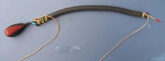 David launch cs.webp