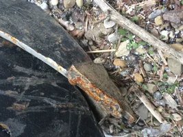 image.webp image.webp