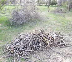 FriendNE-06.webp FriendNE-06.webp