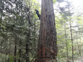 DSC04381 (1024x768).webp