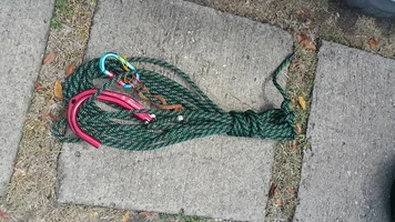 2016-04-27 09.56.55.webp