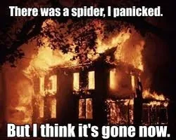spider gone.webp