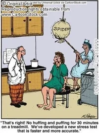 spider stress test.webp