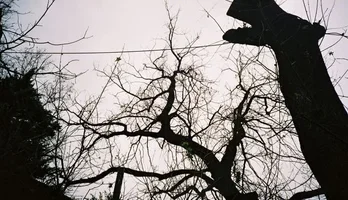 F1000011.webp F1000011.webp