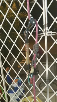 2016-05-10 20.55.40.webp