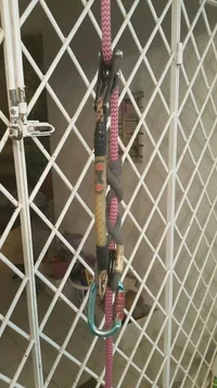 2016-05-10 20.55.08.webp