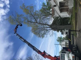 image.webp image.webp