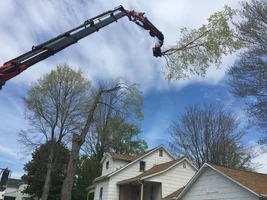 image.webp image.webp